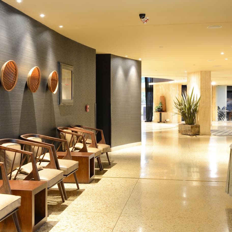 A modern hotel lobby with a long reception desk, several wooden chairs, and a large potted plant.