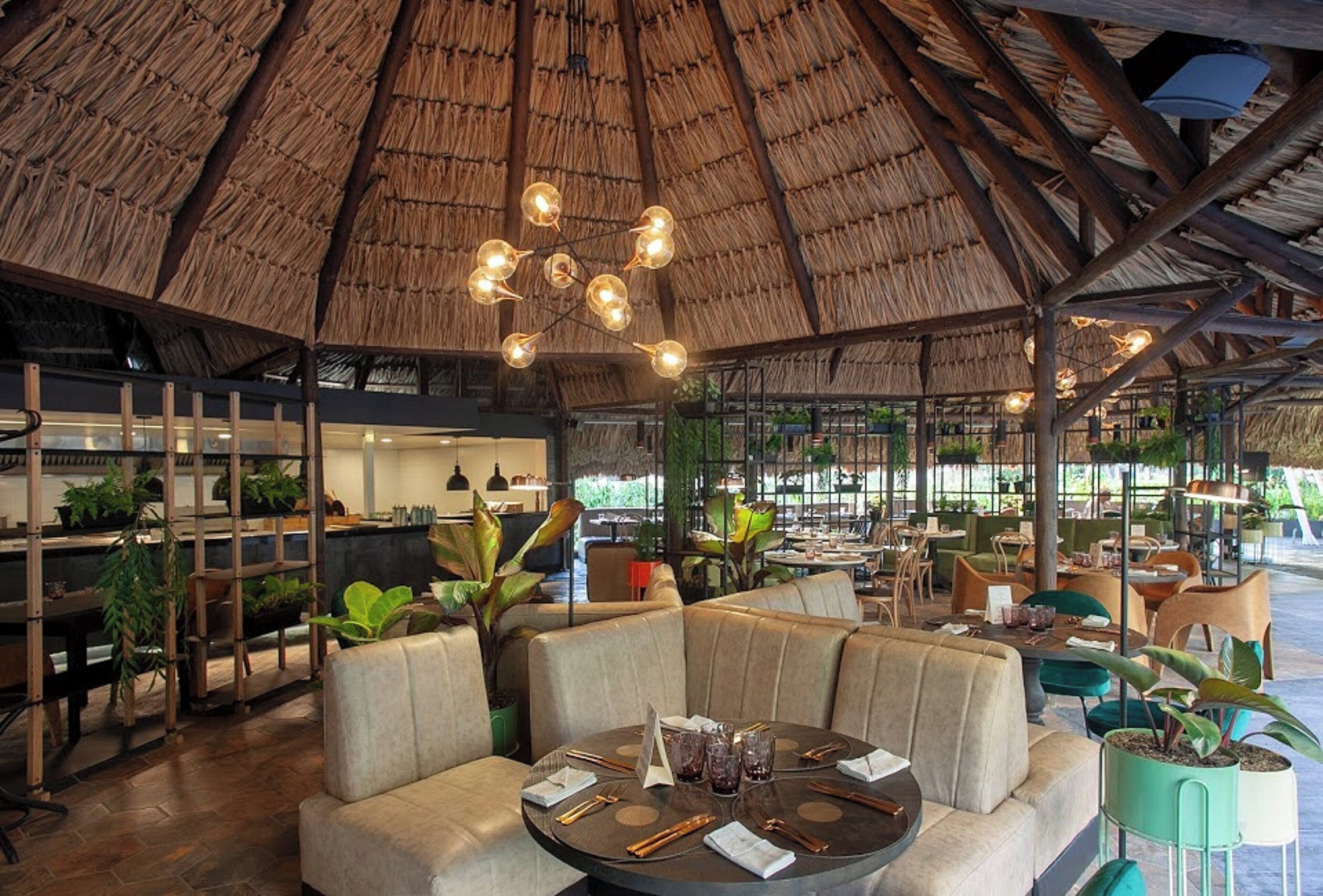 A restaurant with a thatched roof, cushioned seating, and a variety of plants.