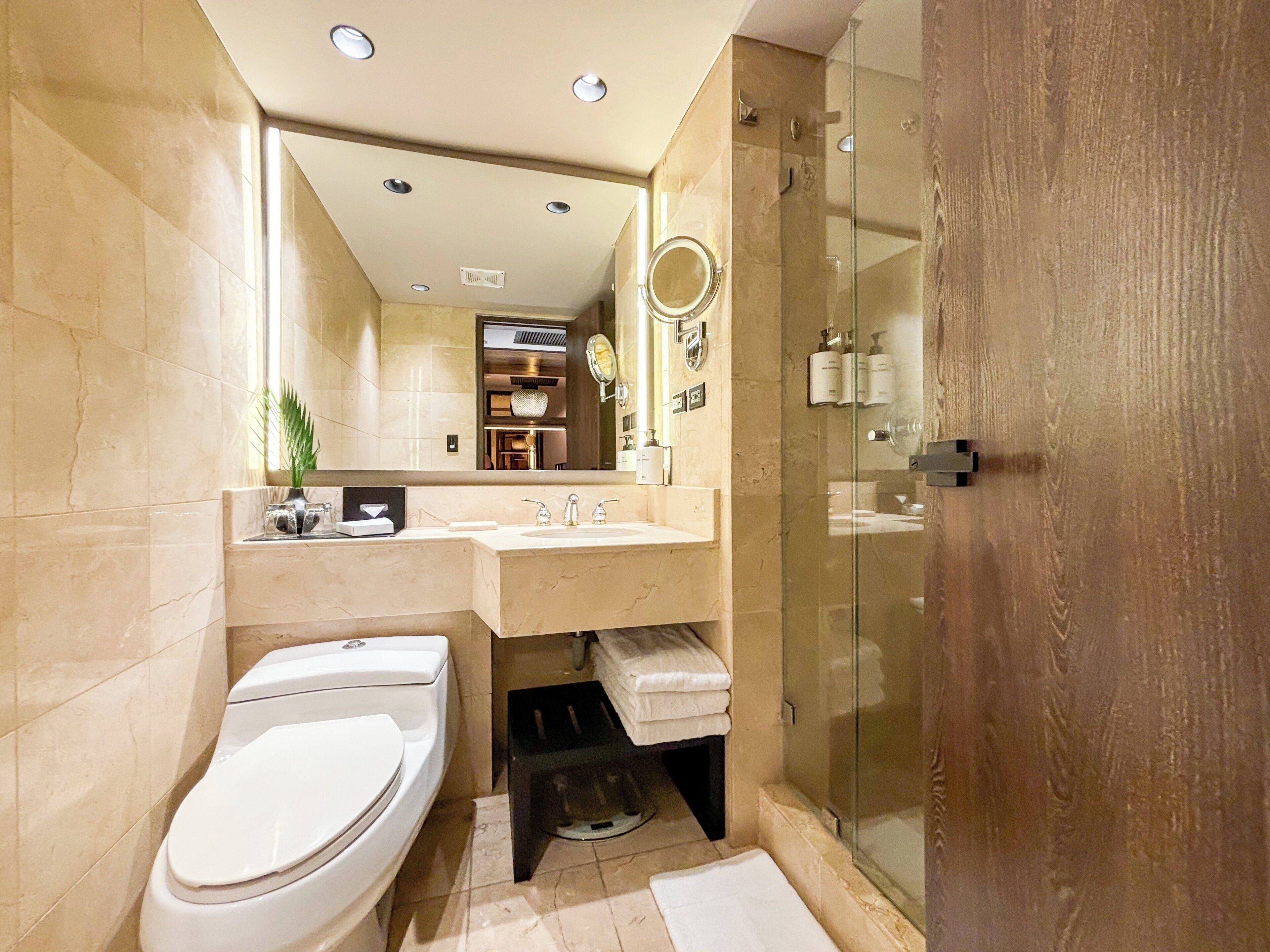 A modern bathroom with a toilet, two sinks, a glass shower enclosure, and a large mirror.