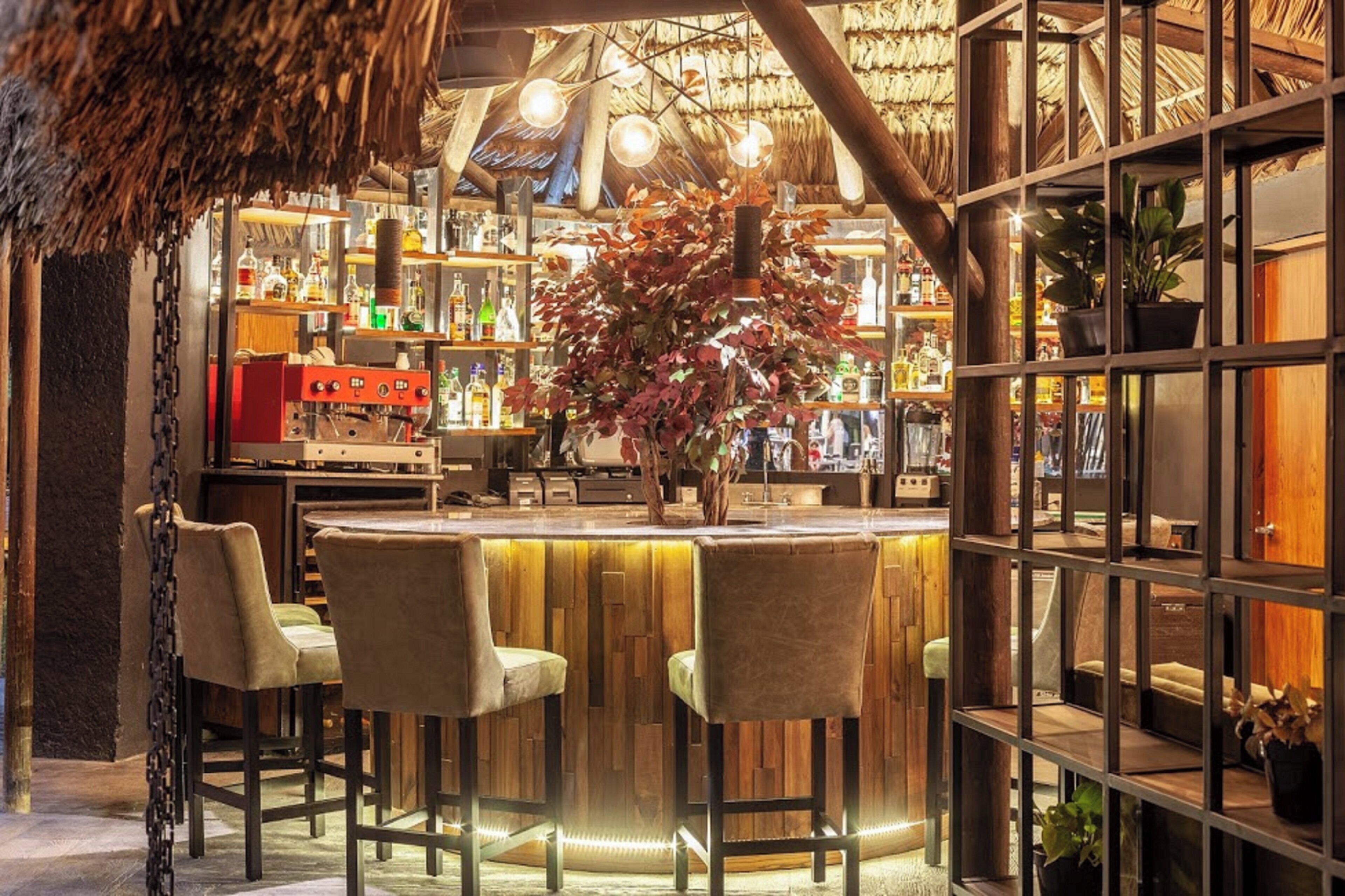 A bar area with a round wooden bar, cushioned bar stools, and a large potted plant.