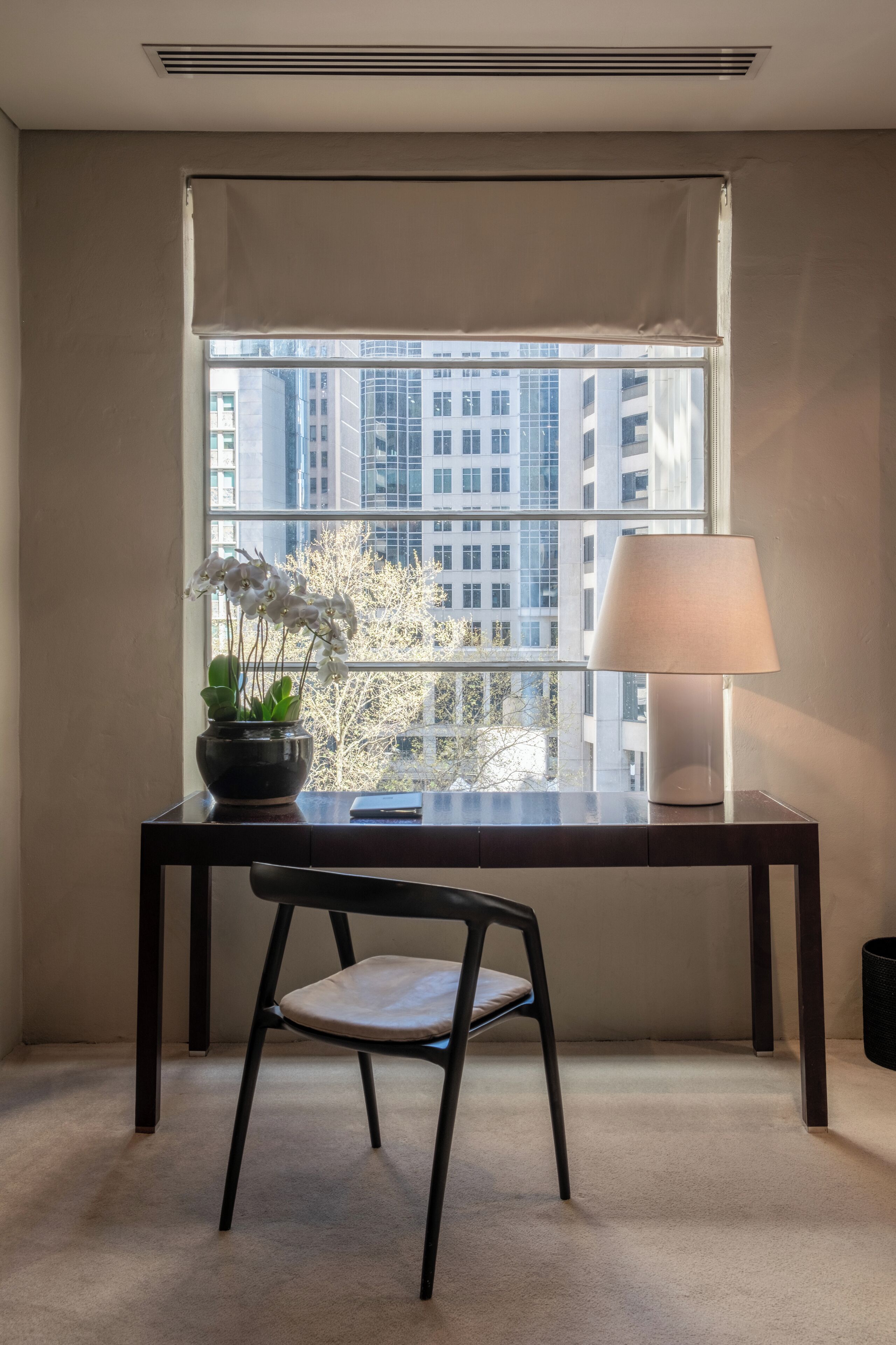 duplex penthouse | city view