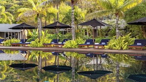 A poolside area with lounge chairs and umbrellas, surrounded by lush greenery and palm trees. - Orpheus Island Lodge (Palm Island)