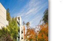 A modern building with a flat roof, large windows, and a well-maintained lawn with a few trees. - Phillip Island Apartments (Cowes)