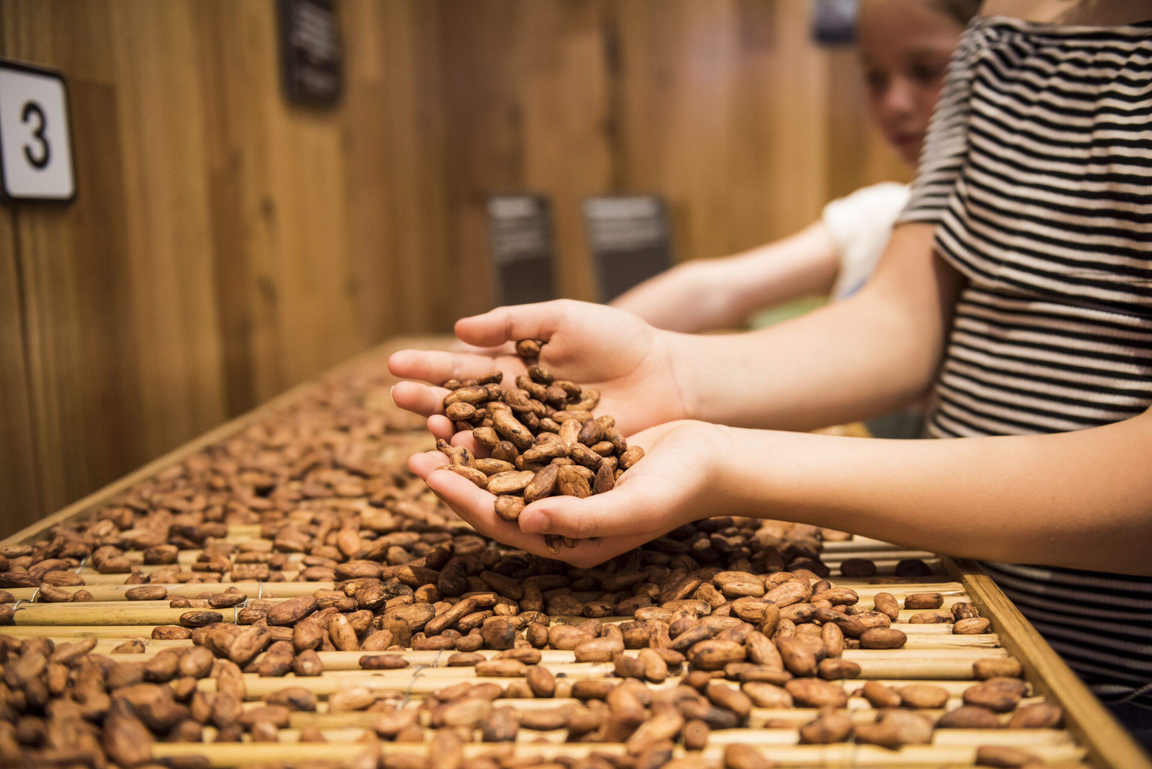 A person holding coffee beans at a wooden counter with a sign indicating the number 3.
