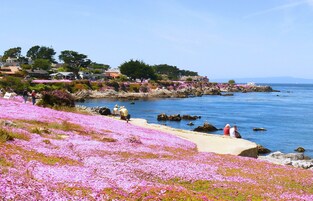Una playa cerca