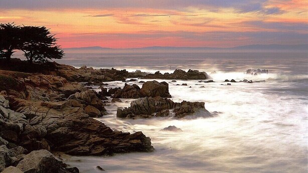 A rocky coastline with a tree and ocean waves.