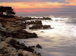 A rocky coastline with a tree and ocean waves. - Sea Breeze Inn And Cottages (Pacific Grove)