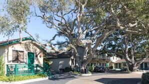 A residential street with a house featuring a green front porch and a large tree in front.