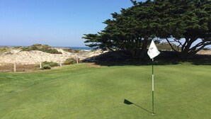 A golf course with a flagstick, a tree, and a view of the sea.