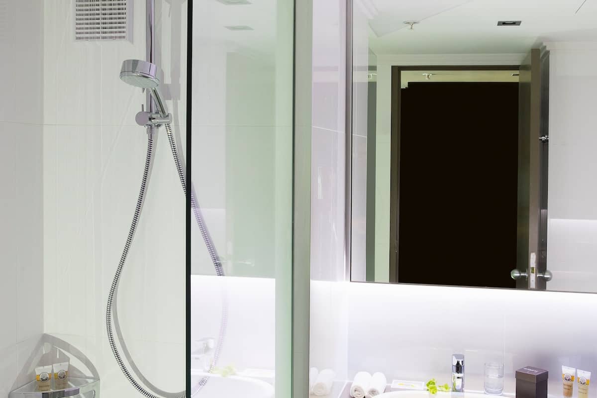 shower, eco-friendly toiletries, hair dryer, slippers