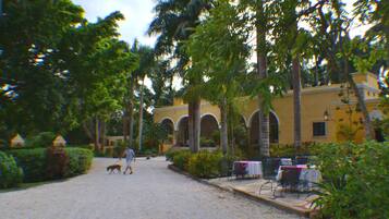 A courtyard with palm trees, a yellow building with arches, and outdoor seating.