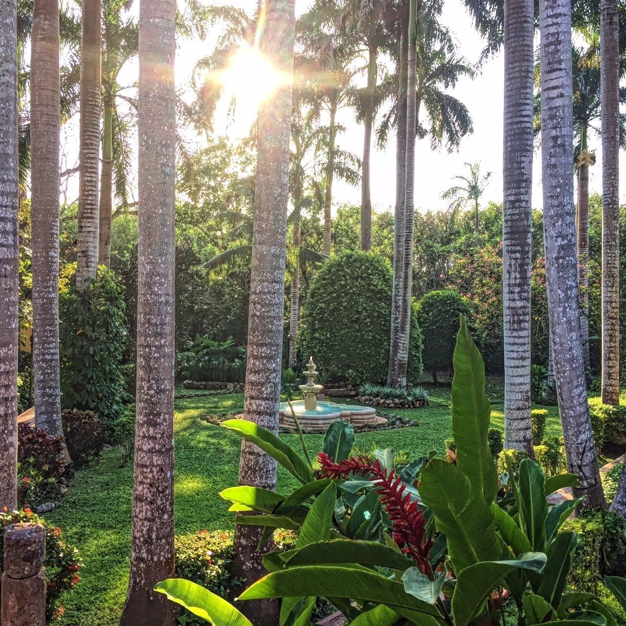 Entrada de la propiedad