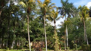 A clear blue pool surrounded by lush greenery and tall palm trees. - Hacienda Chichen Resort & Yaxkin Spa (Chichen Itza)