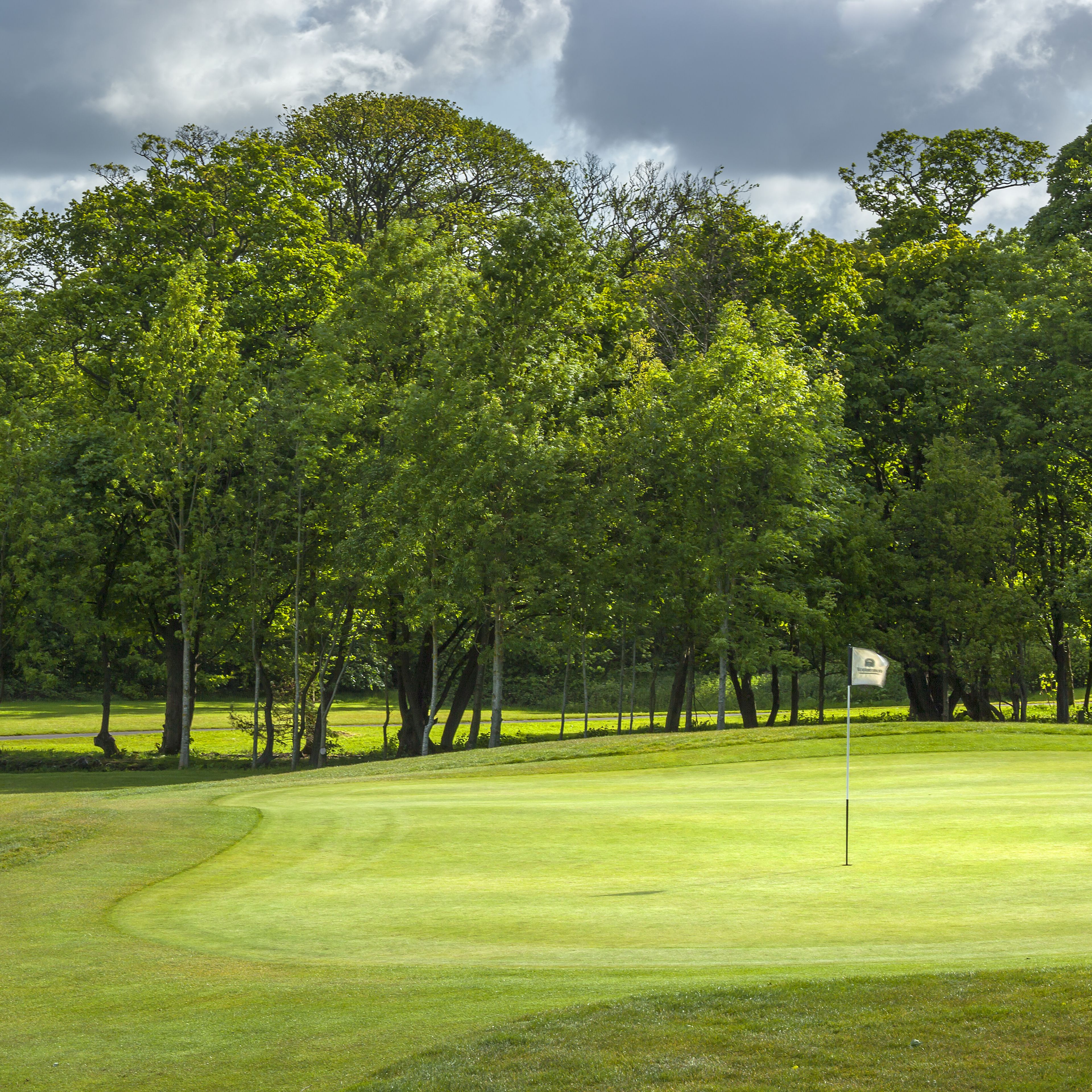 A golf course with a flagstick, surrounded by dense trees and a cloudy sky.