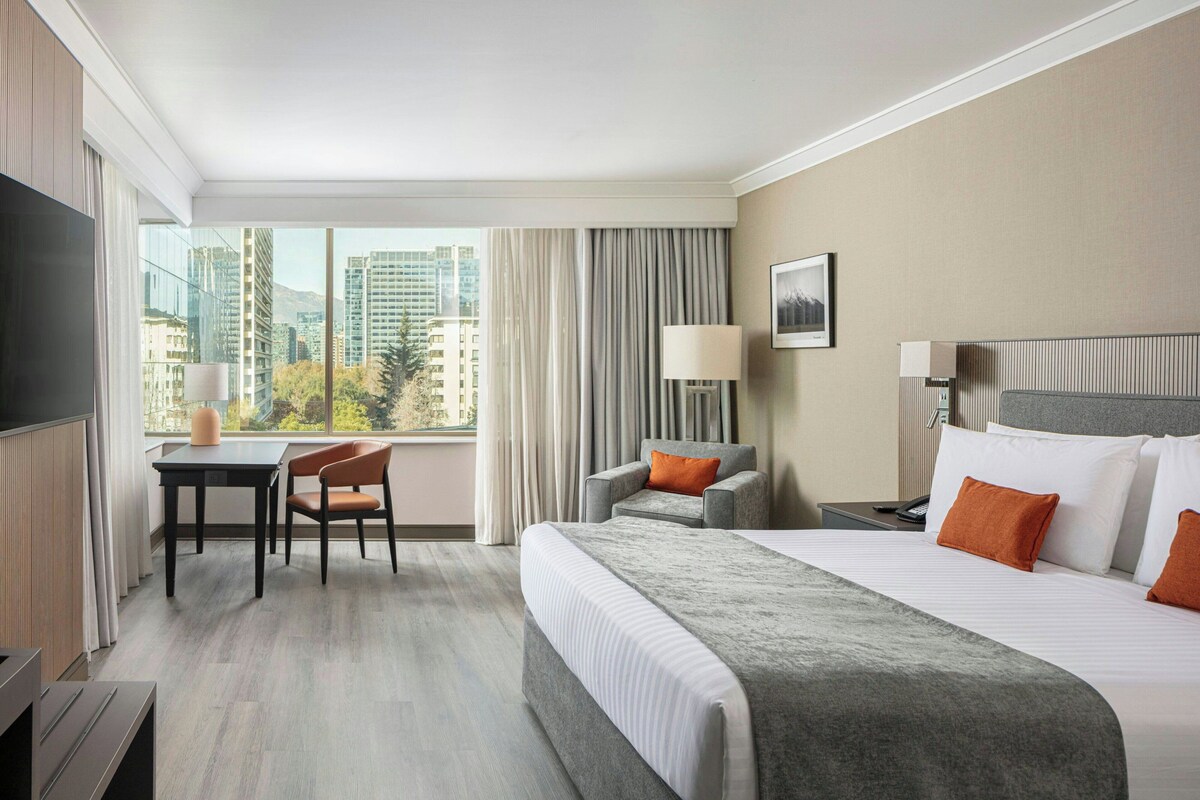 City Room, 1 King Bed | Hypo-allergenic bedding available, minibar, in-room safe, desk