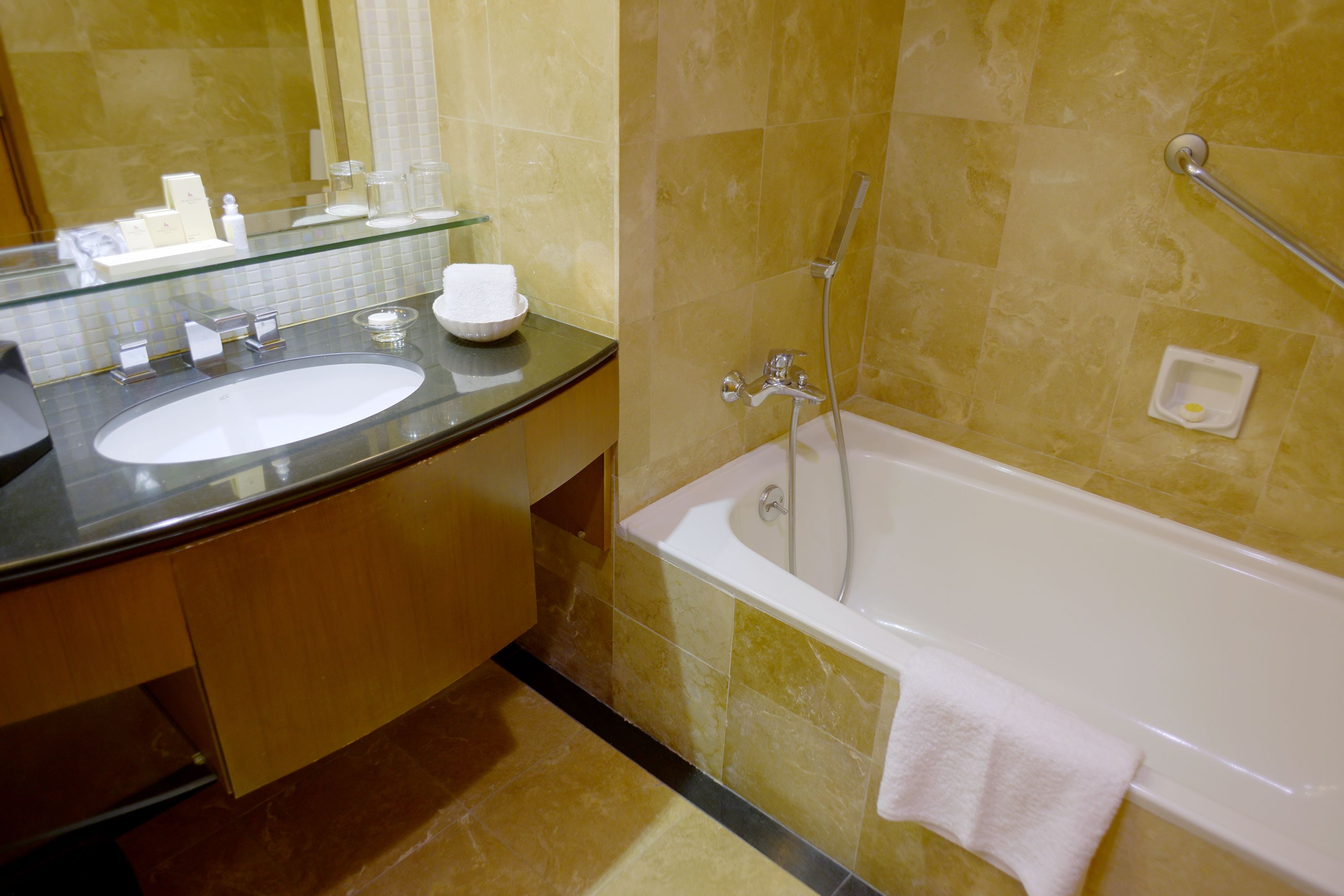 combined shower/bathtub, free toiletries, hair dryer, bathrobes