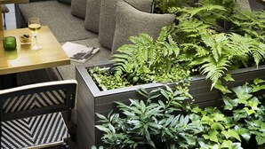 A modern interior with a sofa, a table with a glass of wine, and a planter with various plants. - Hotel d'Aubusson (Paris)