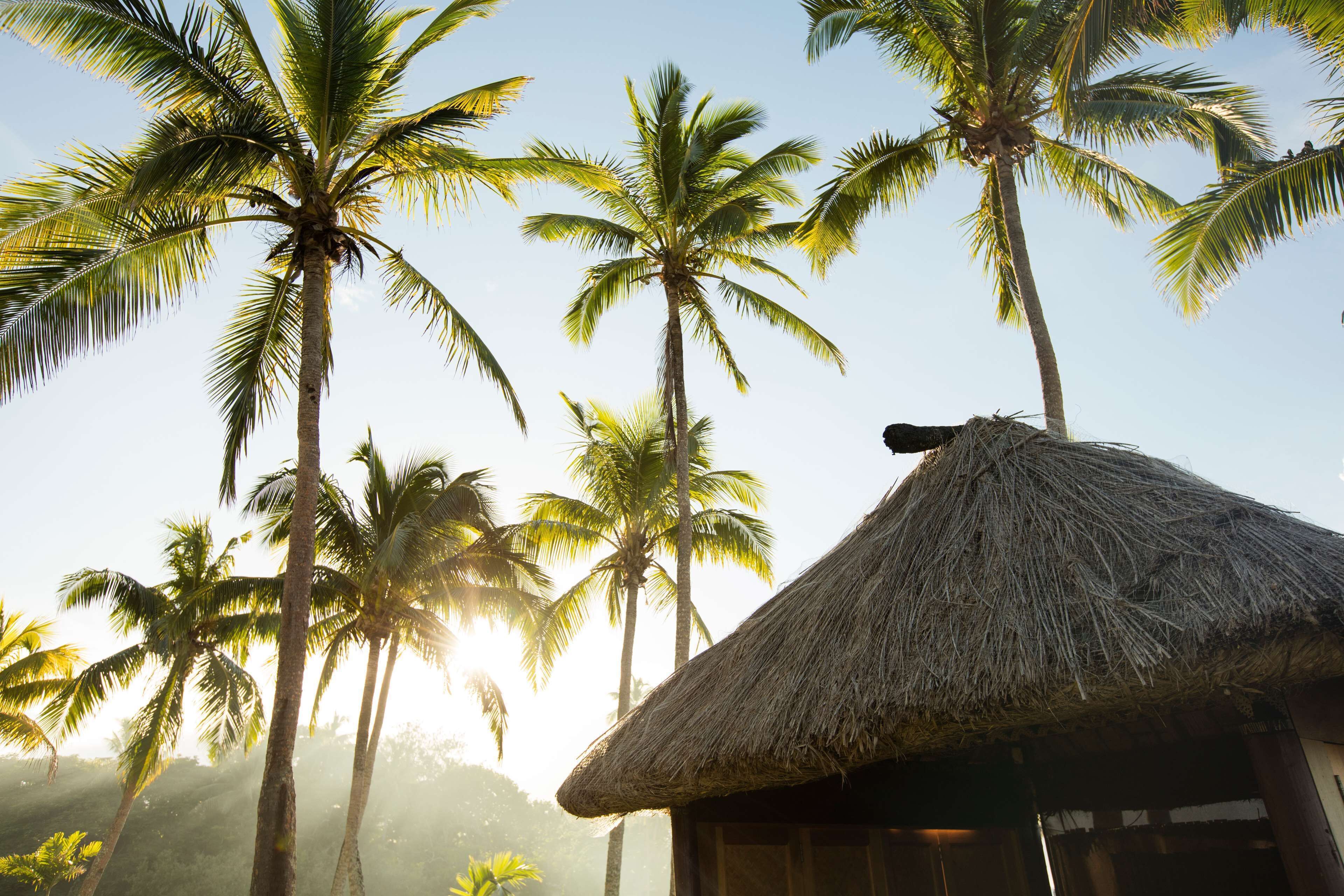 On the beach, white sand, free beach cabanas, sun-loungers