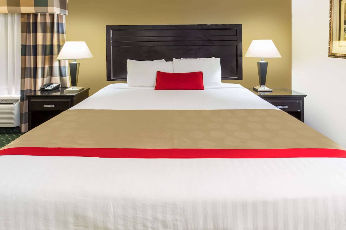 room, 1 king bed, non smoking | in-room safe, desk, blackout curtains, iron/ironing board