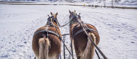 Two horses harnessed and pulling a sled across a snowy landscape with mountains in the background.