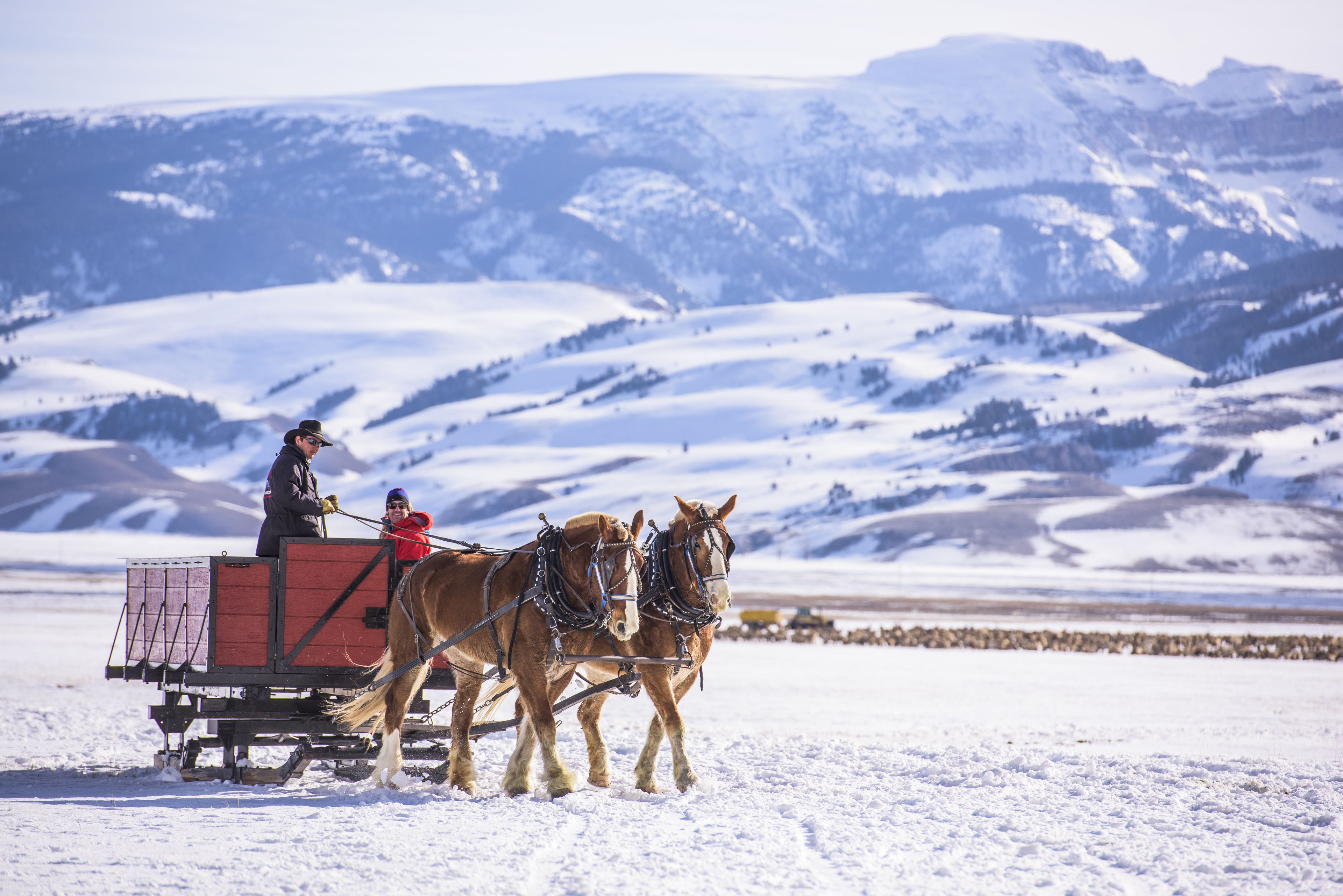 Un carrossa tirada per cavalls sobre un paisatge nevós, amb muntanyes al fons.