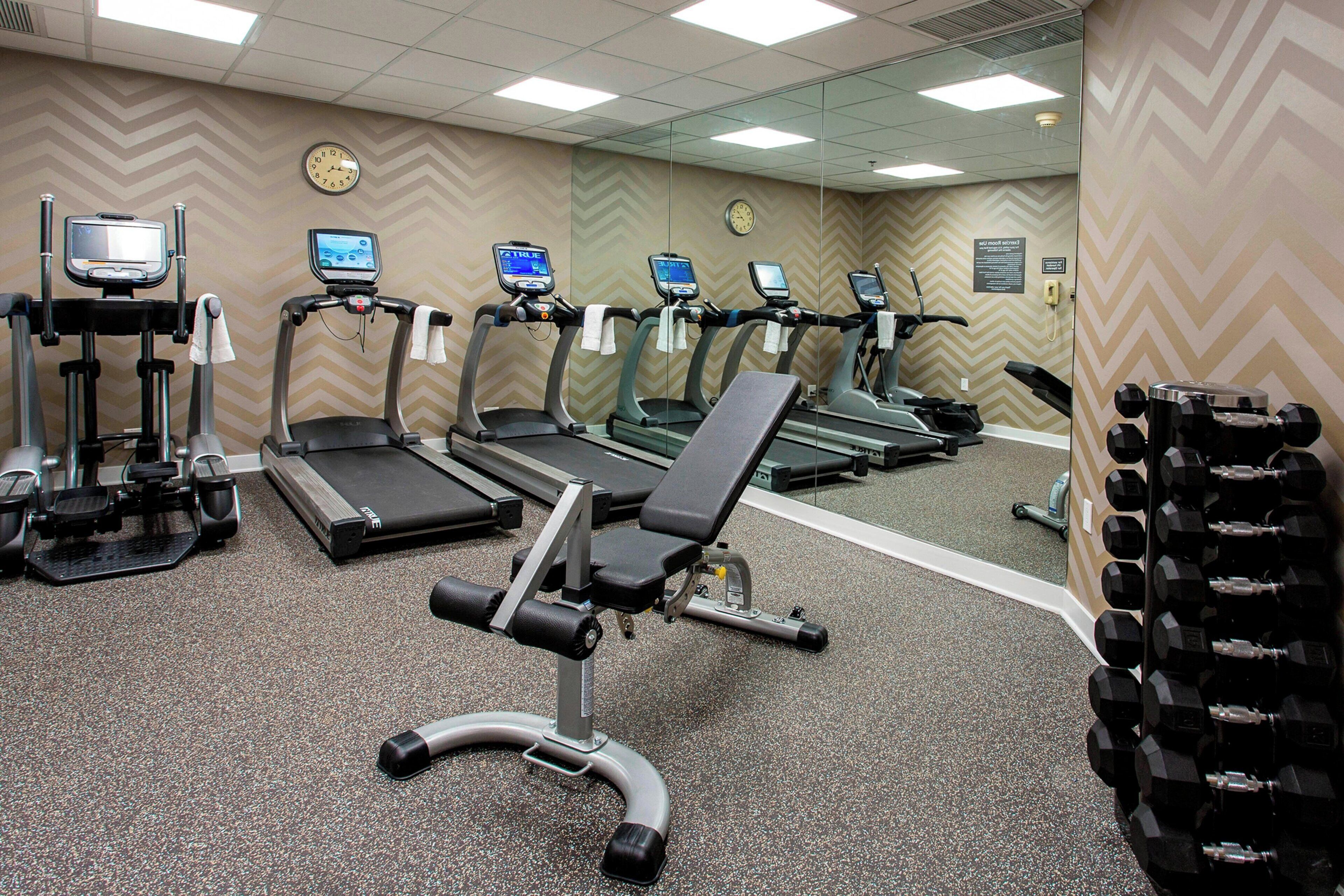 A gym with treadmills, a bench, and dumbbells.