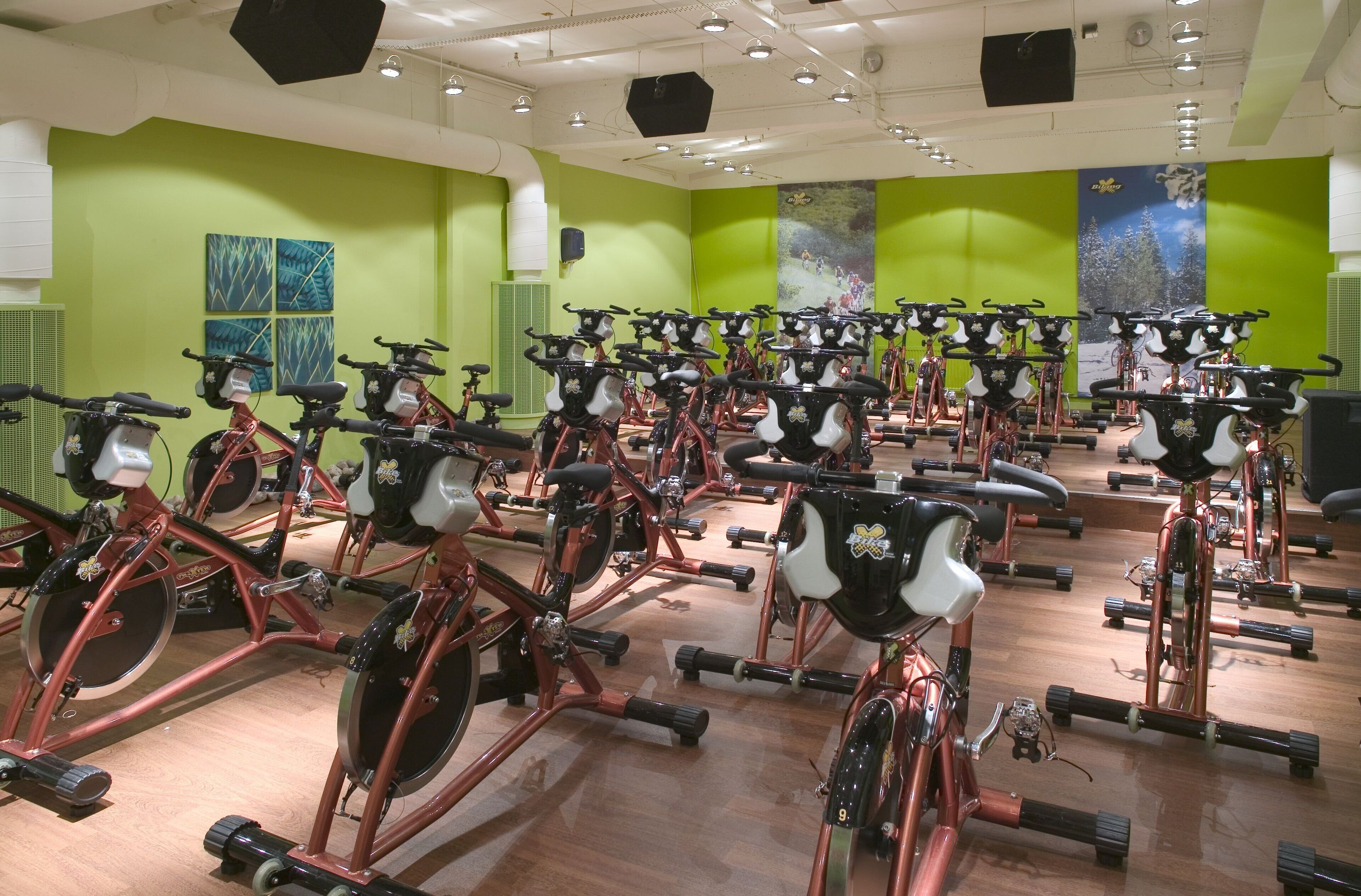 Un gimnasio con bicicletas estáticas dispuestas en filas, paredes verdes y suelo de madera.