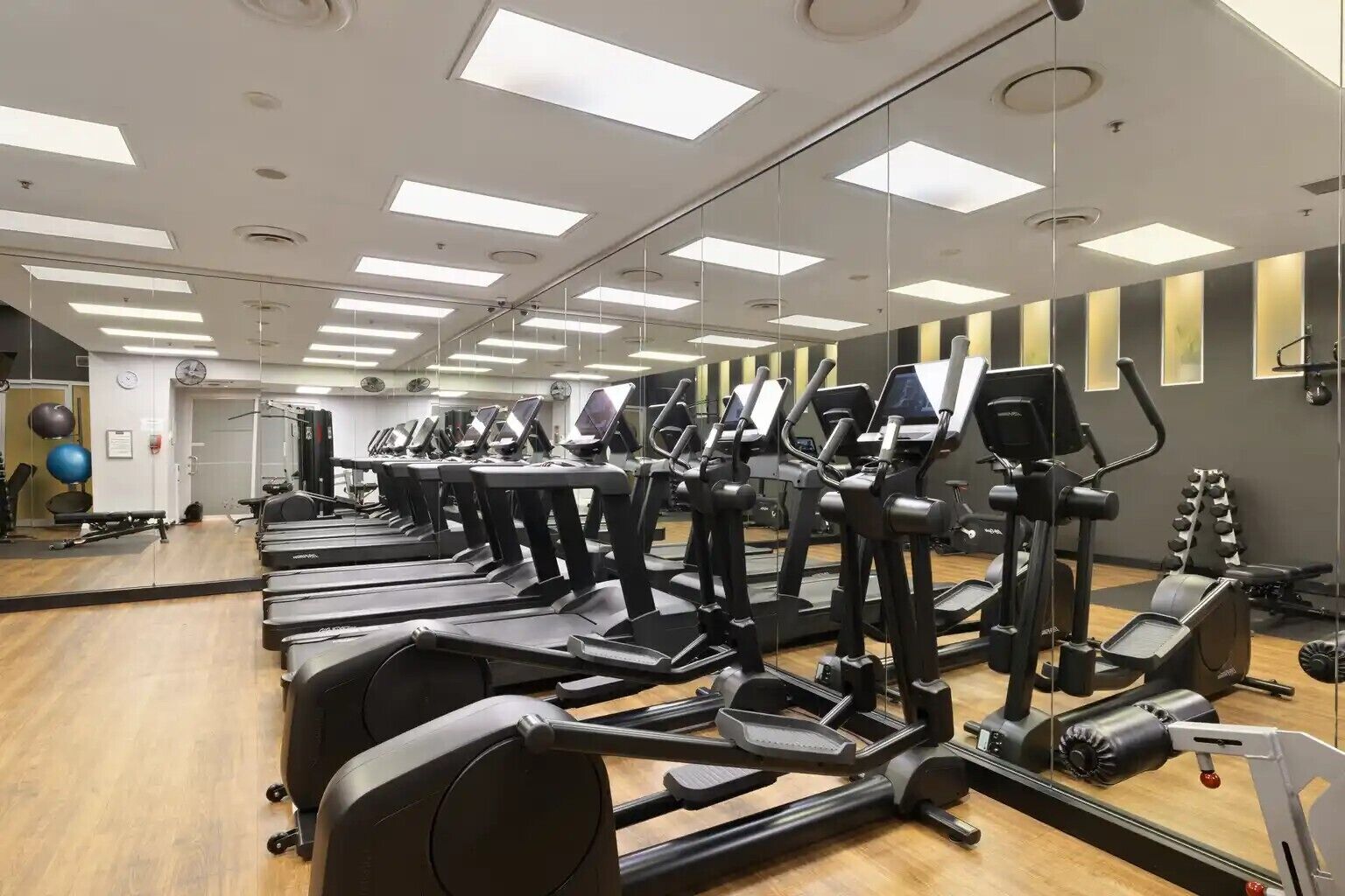 A gym with multiple treadmills, exercise balls, and weight machines.
