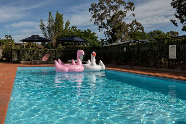 Outdoor pool, pool loungers