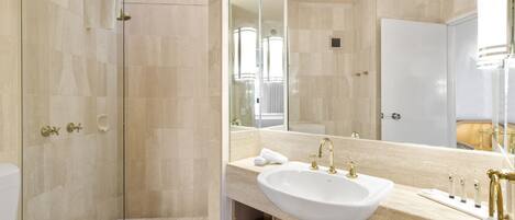 A modern bathroom with a walk-in shower, a toilet, a sink with a vanity, and a large mirror.