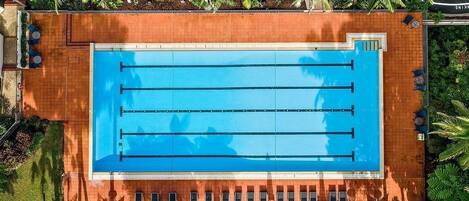 An aerial view of a rectangular swimming pool with multiple lanes, surrounded by a tiled deck and palm trees.