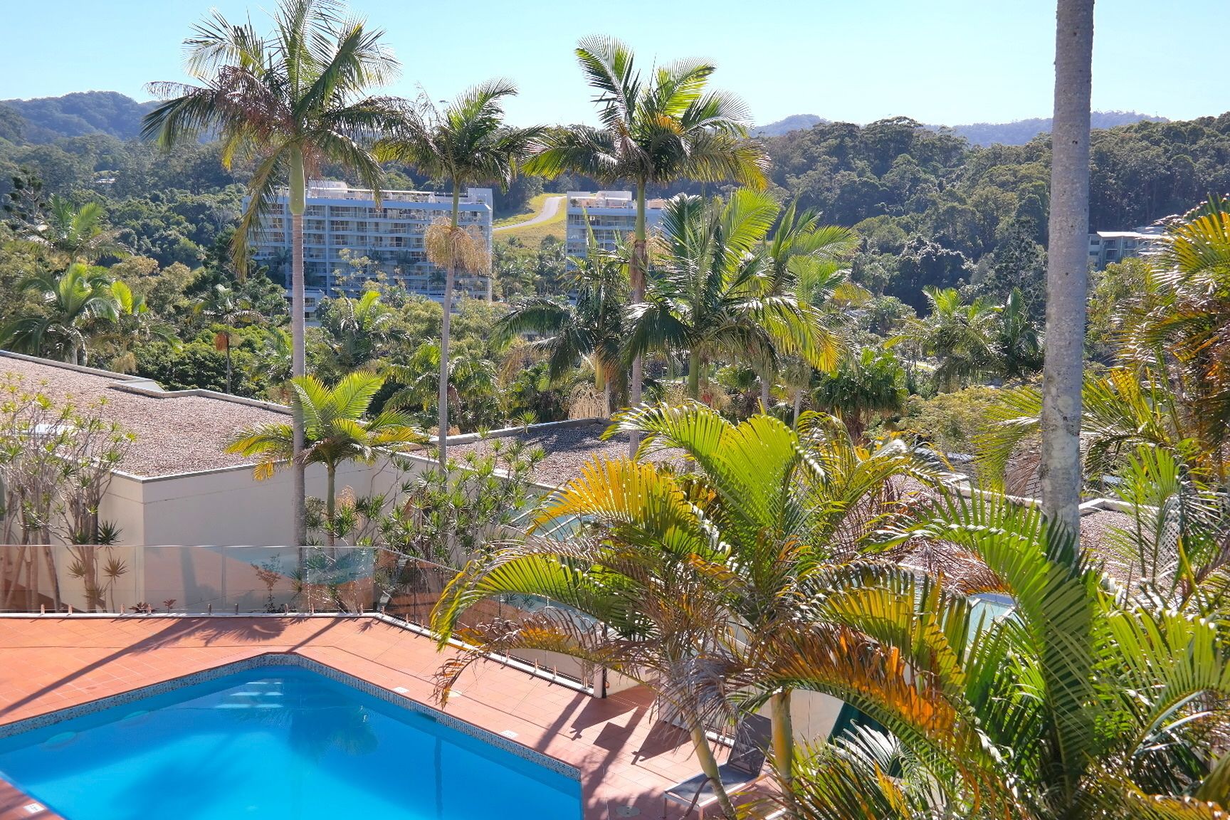 Une piscine entourée de palmiers, avec un paysage montagneux en arrière-plan.