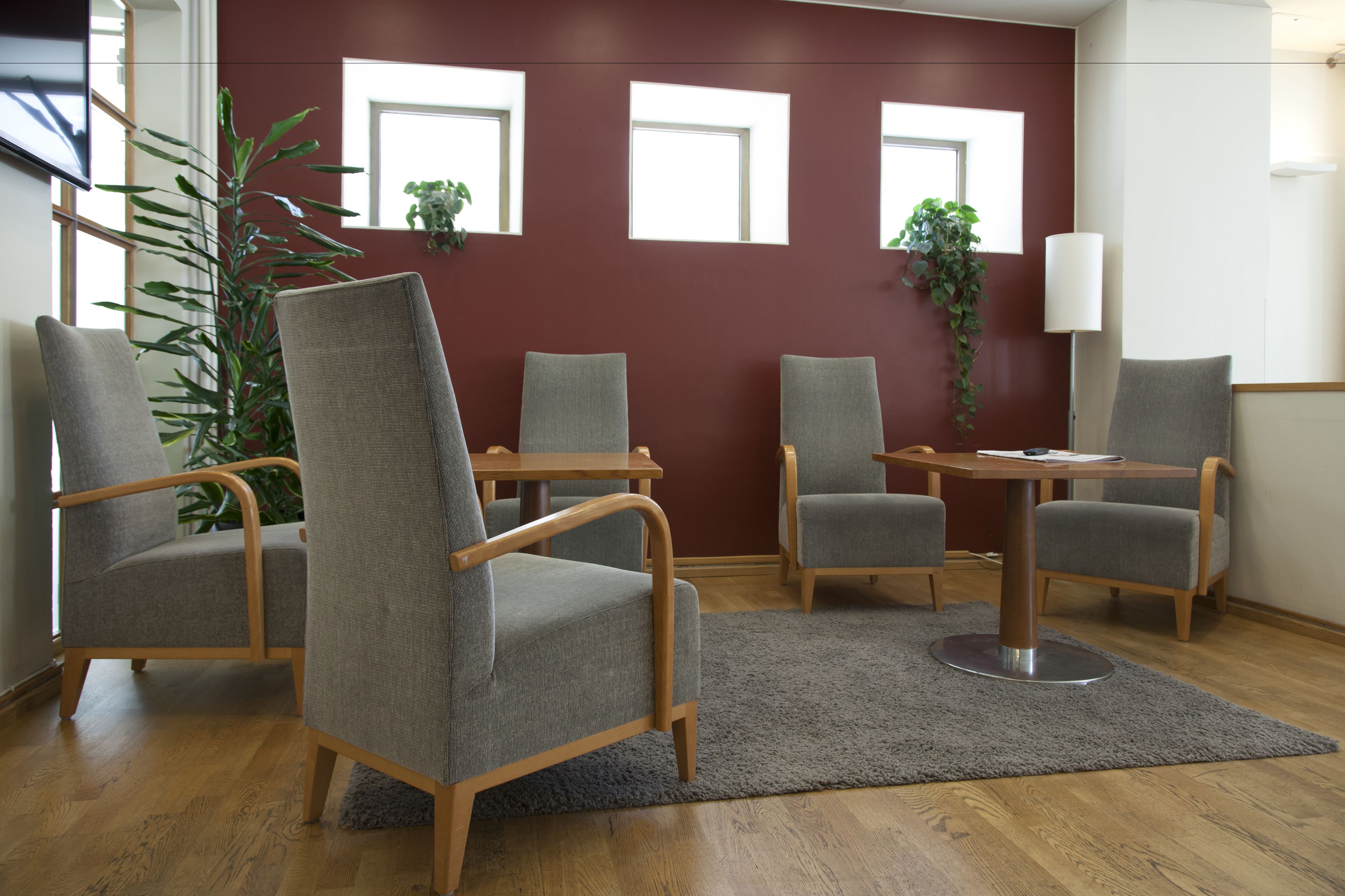 Una habitación con cuatro sillas tapizadas en gris, una mesa de madera, un tapete gris y una planta grande.