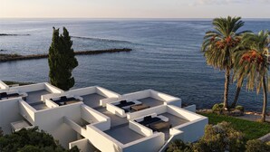 Une terrasse sur le toit offrant une vue sur la mer, les palmiers et une digue rocheuse.