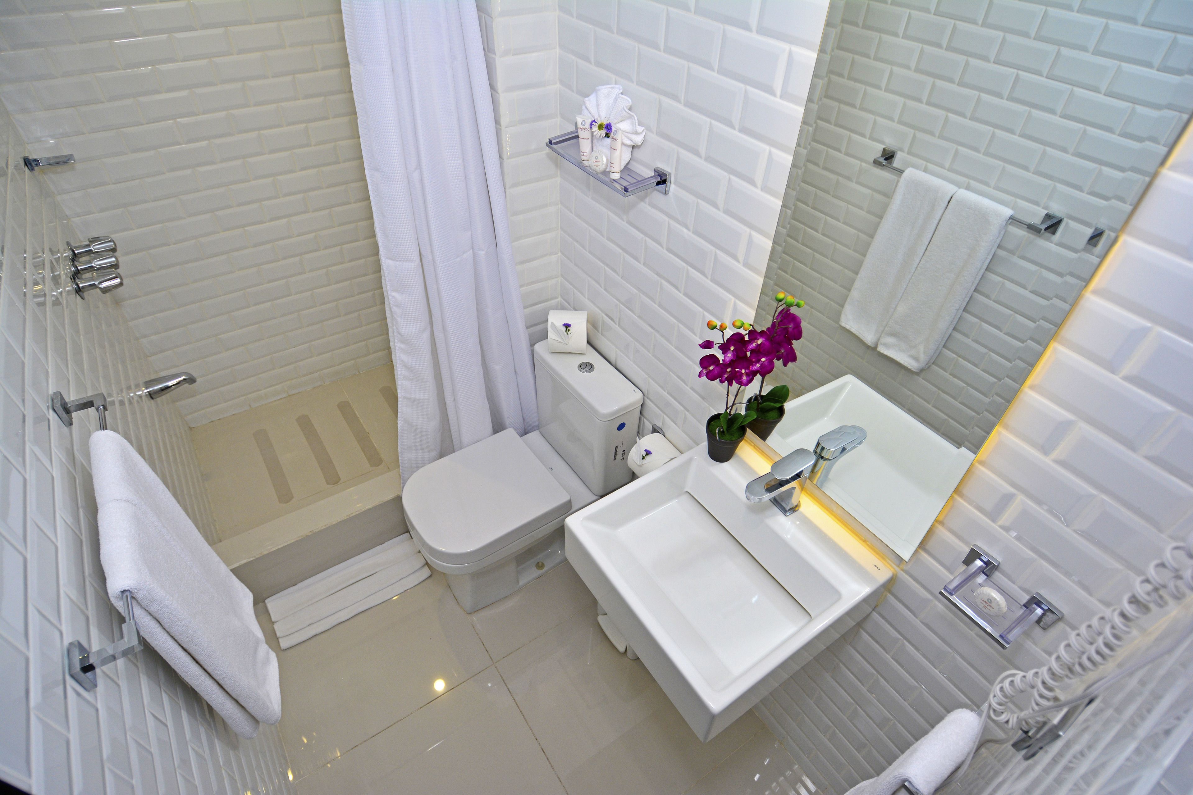 shower, free toiletries, hair dryer, towels