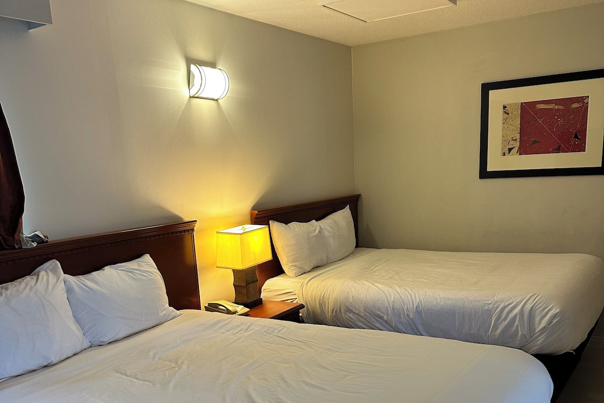 Wifi gratis y ropa de cama