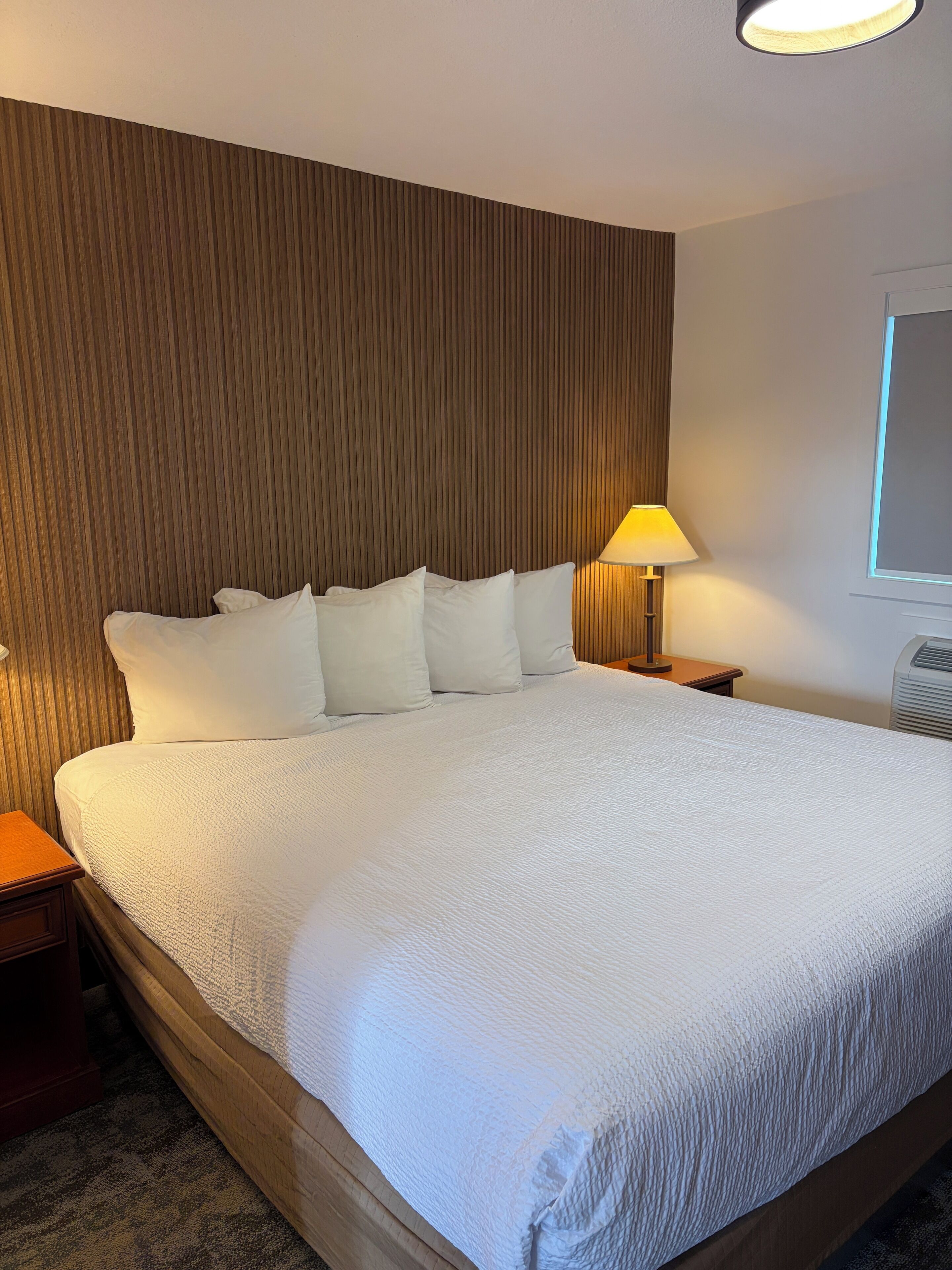 Rom – deluxe, 1 queensize-seng, ikke-røyk | Strykejern/-brett, wi-fi (inkludert) og sengetøy