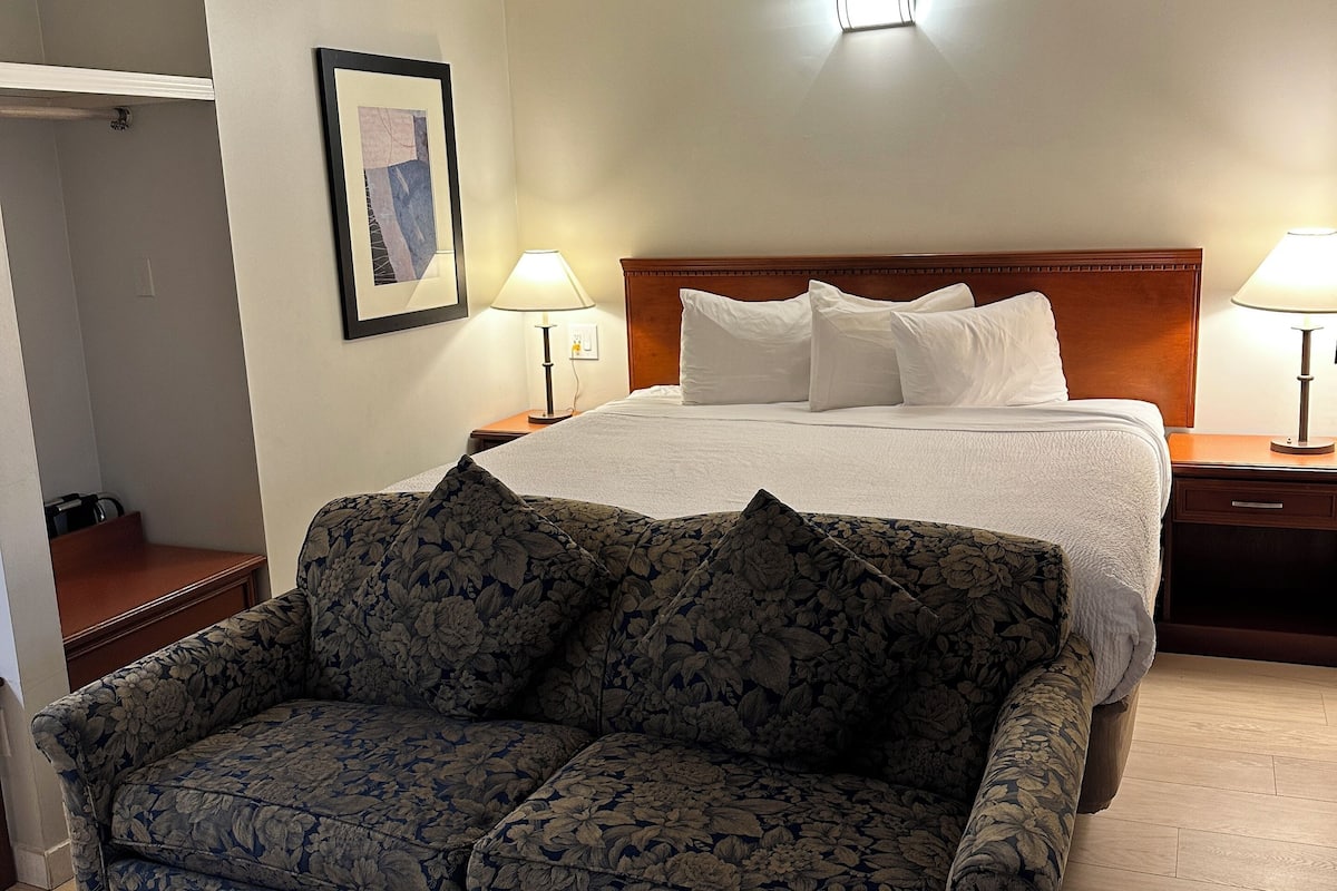 Business Room, 1 Queen Bed, Non Smoking | Iron/ironing board, free WiFi, bed sheets
