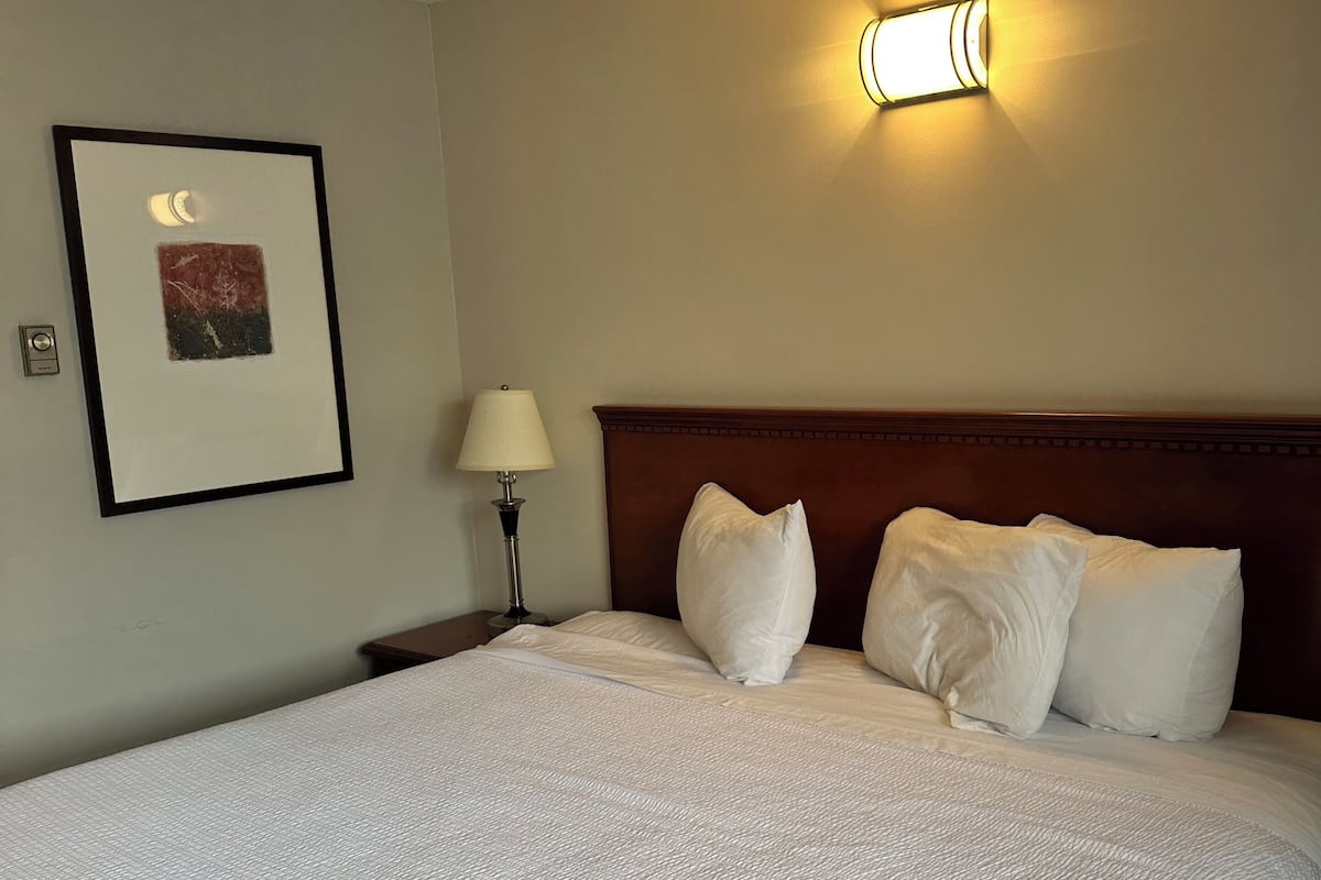 Iron/ironing board, free WiFi, bed sheets