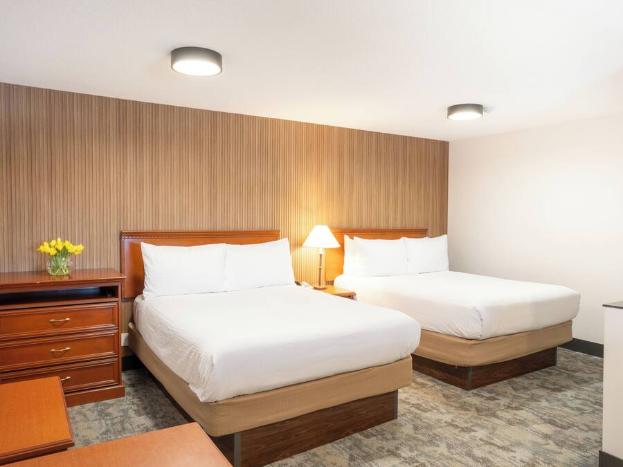 Suite Business, 2 letti queen, non fumatori | Wi-Fi gratuito, lenzuola