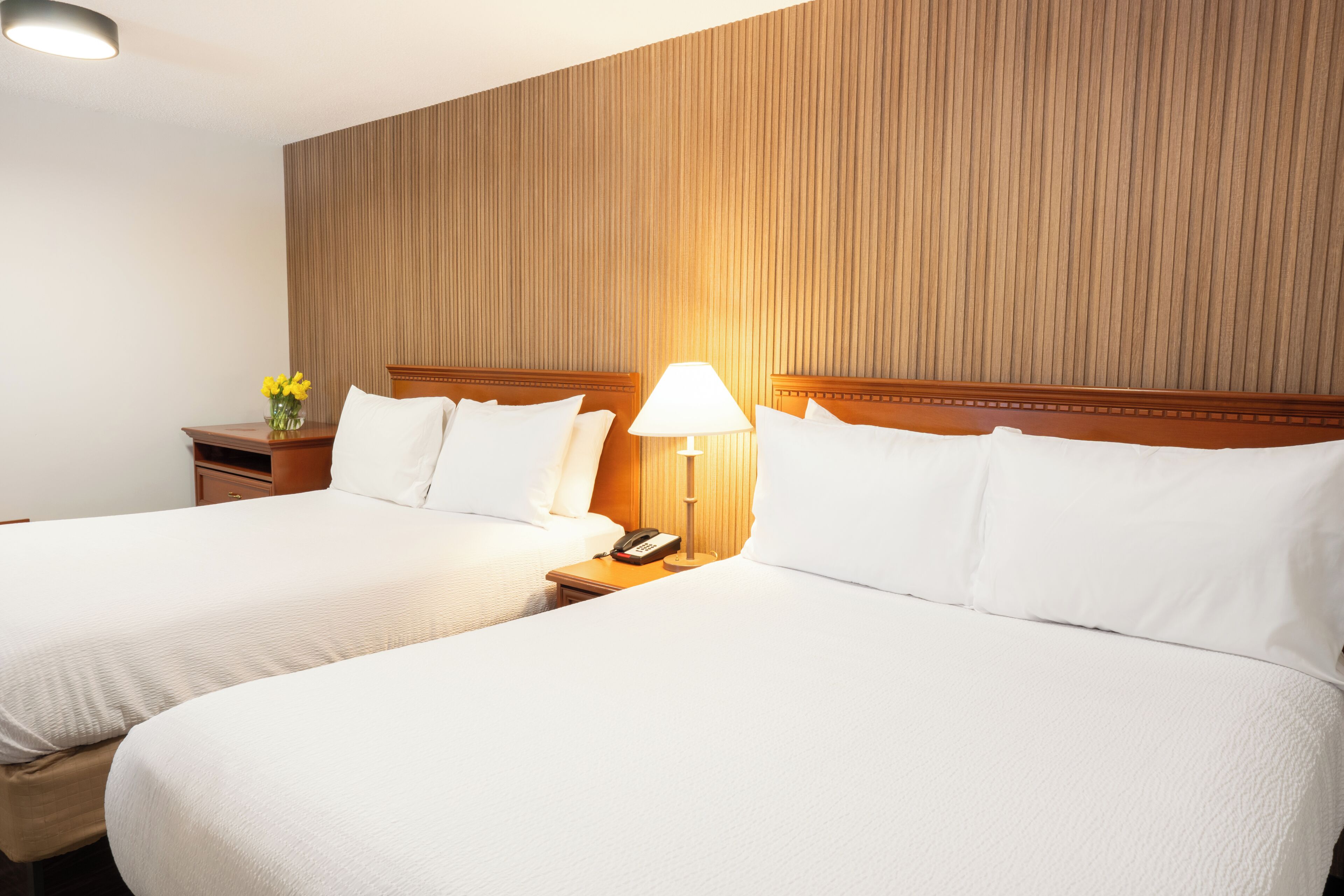 Suíte empresarial, 2 camas Queen, para não fumantes | Wi-Fi de cortesia, roupa de cama