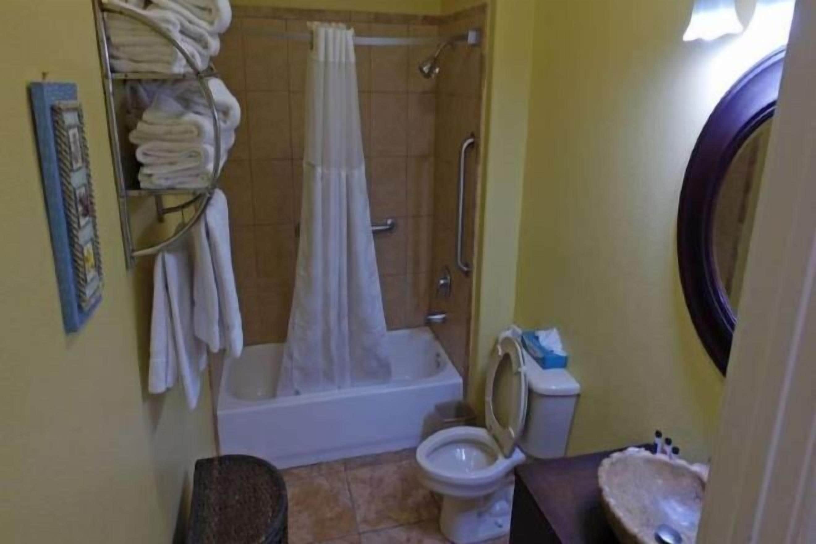 Combined shower/tub, free toiletries, hair dryer, towels