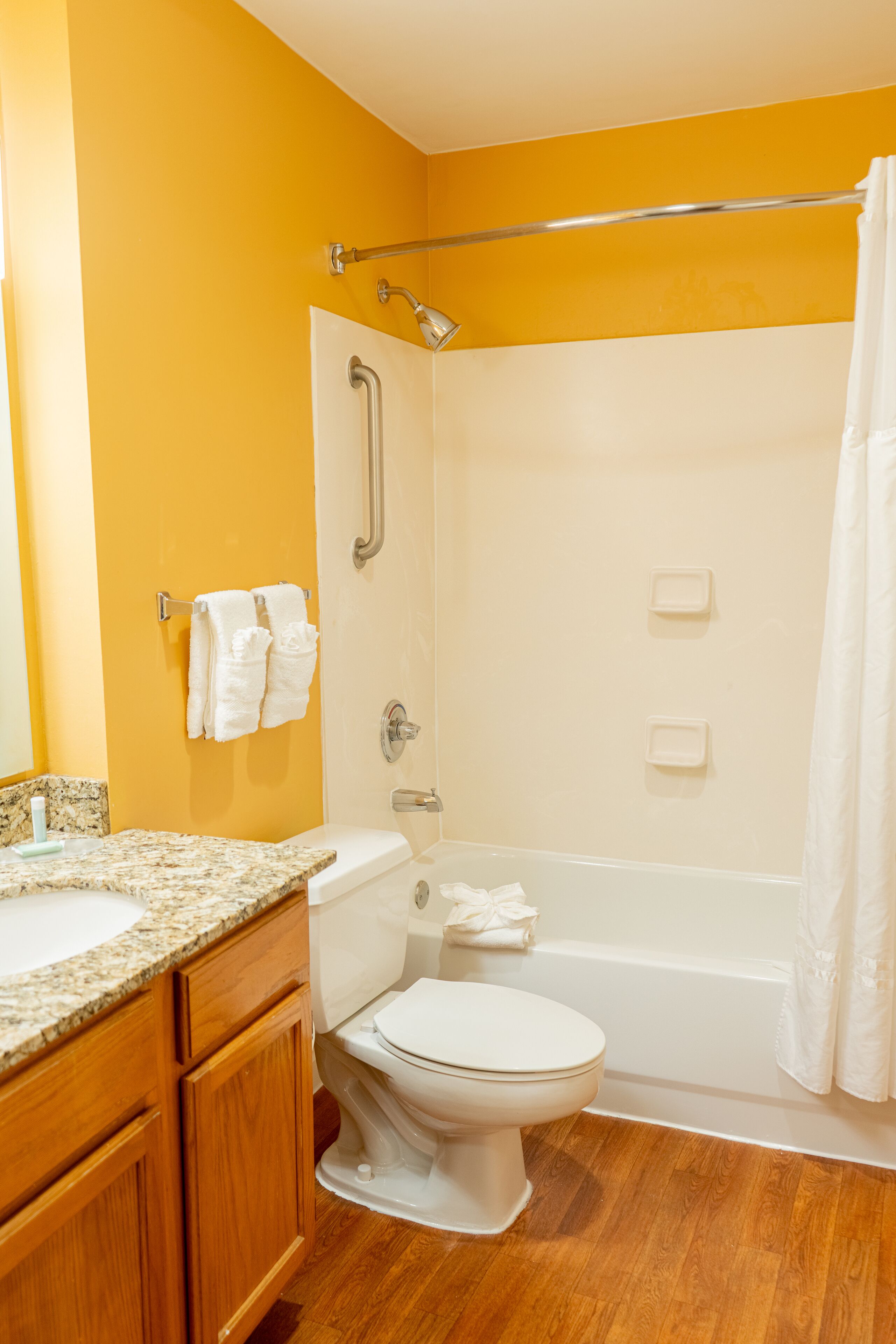 combined shower/bathtub, free toiletries, hair dryer, towels