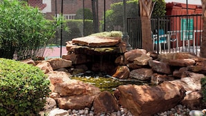 A rock garden with a small pond, surrounded by rocks and greenery. - TownePlace Suites by Marriott Dallas Las Colinas (Irving)