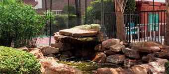 TownePlace Suites by Marriott Dallas Las Colinas