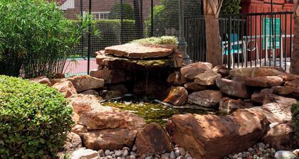 TownePlace Suites by Marriott Dallas Las Colinas