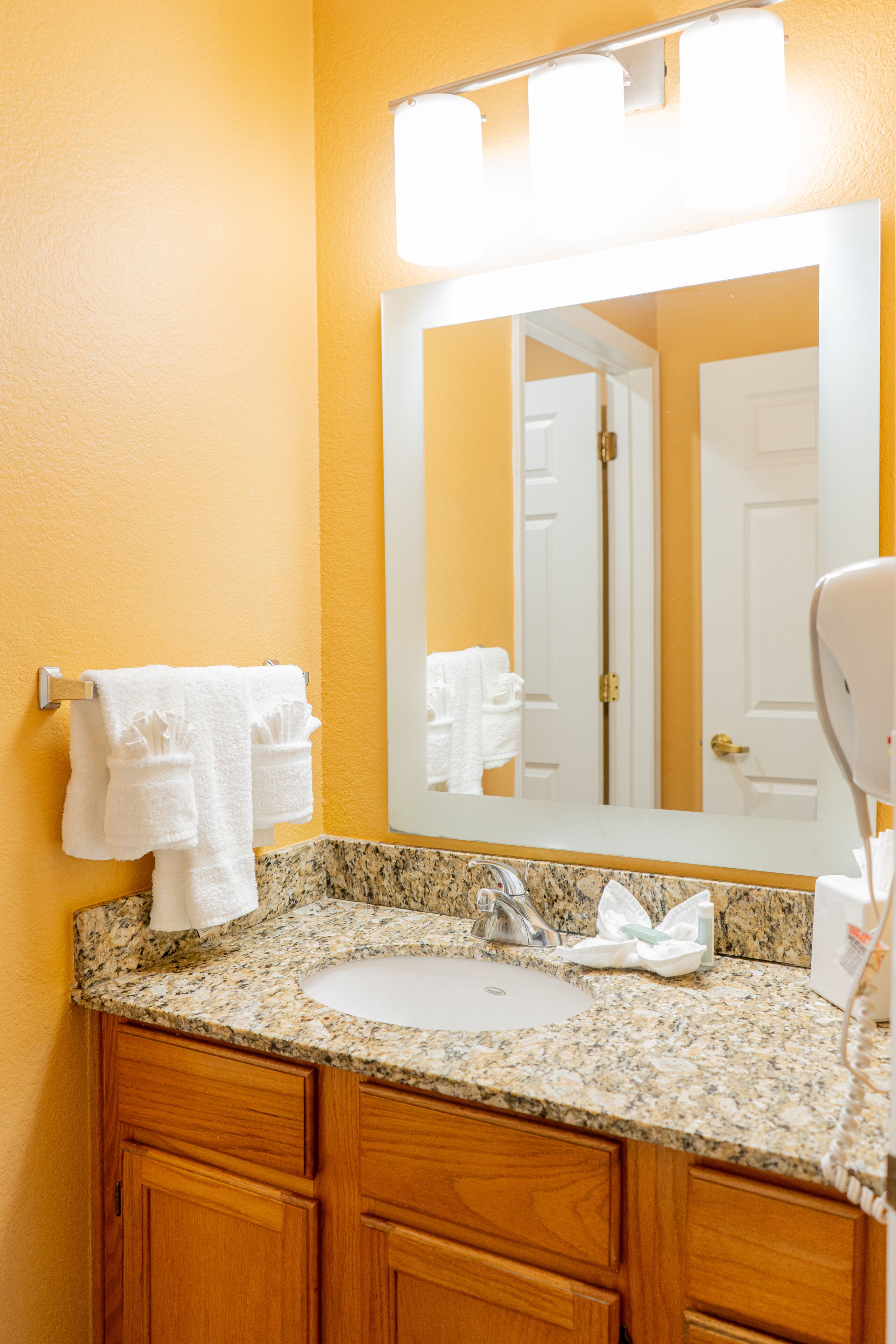 combined shower/bathtub, free toiletries, hair dryer, towels