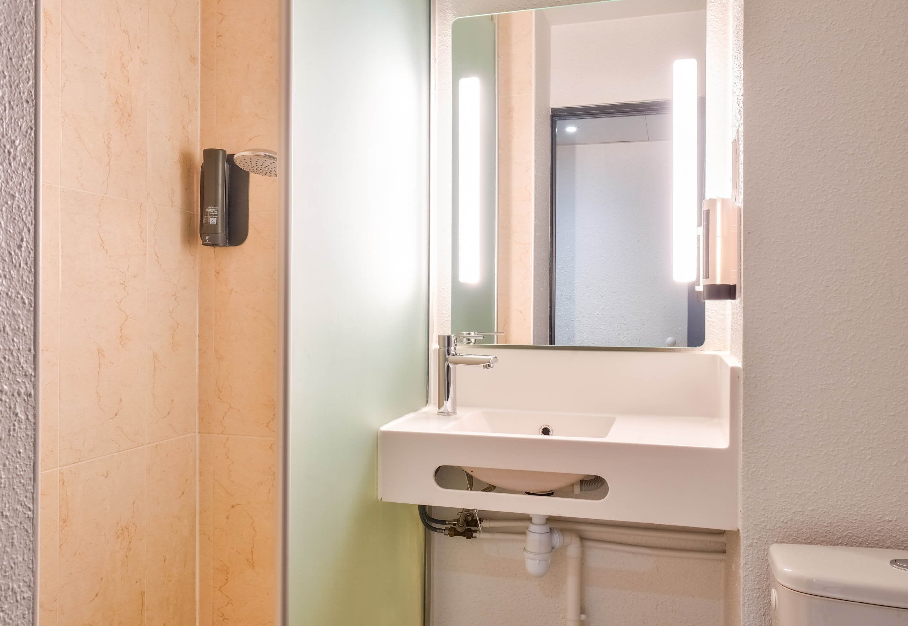 A bathroom with a white sink, a mirror, and a handheld showerhead.