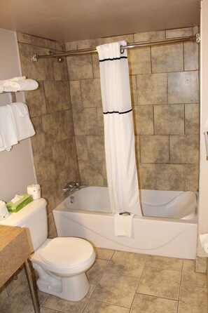 Combined shower/bathtub, free toiletries, hair dryer, towels