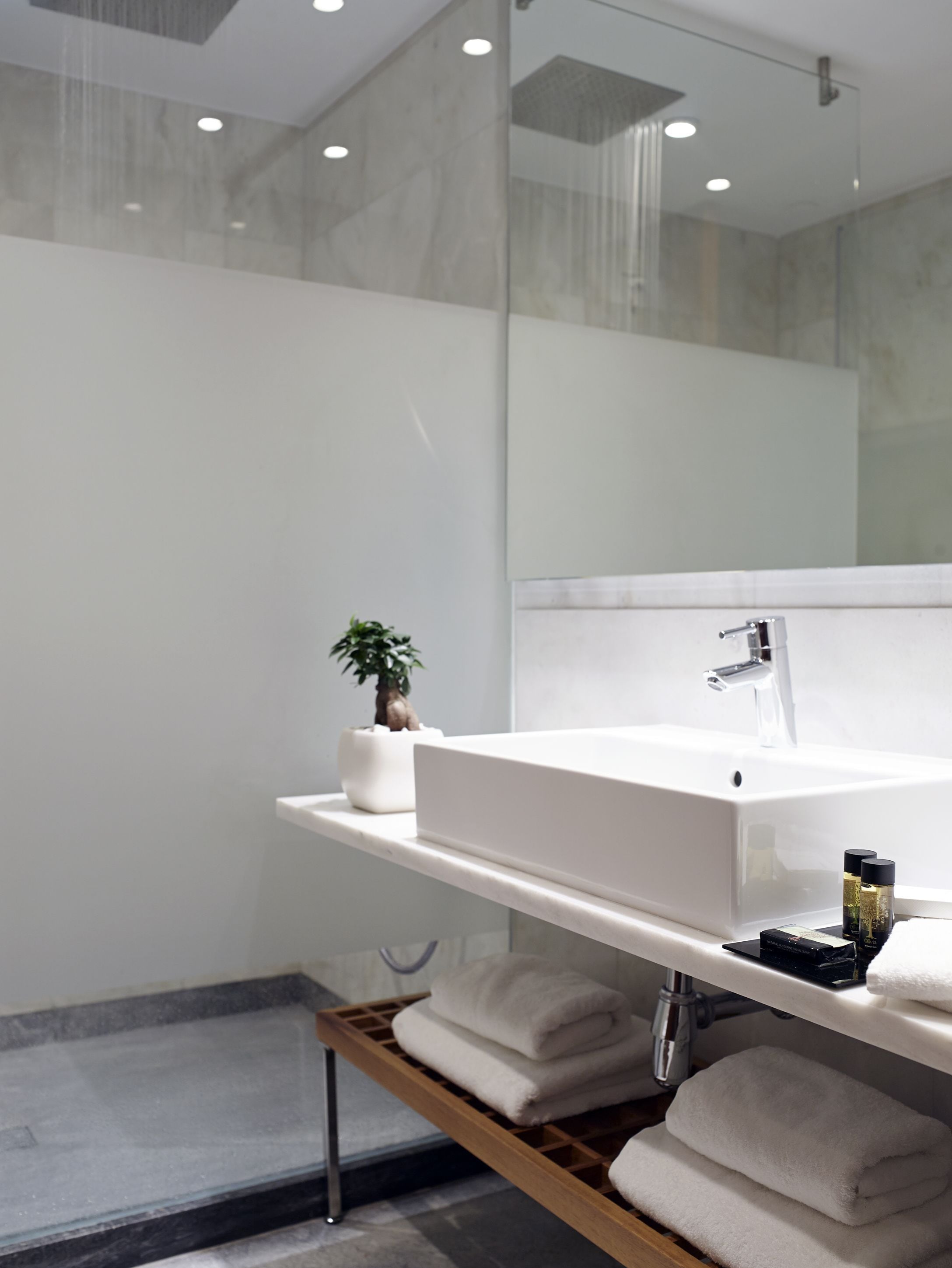 A modern bathroom with a large white sink, a small potted plant, and neatly folded towels on a wooden shelf.
